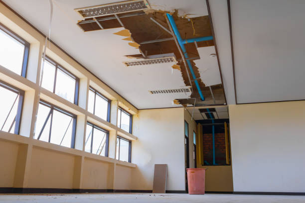 Best Ceiling water damage repair  in Catahou, LA