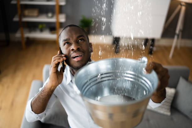 Best Water damage restoration mold remediation  in Catahou, LA