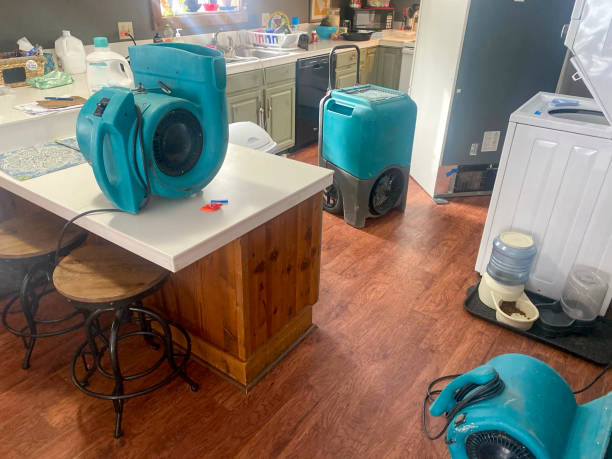 Best Water damage restoration company  in Catahou, LA