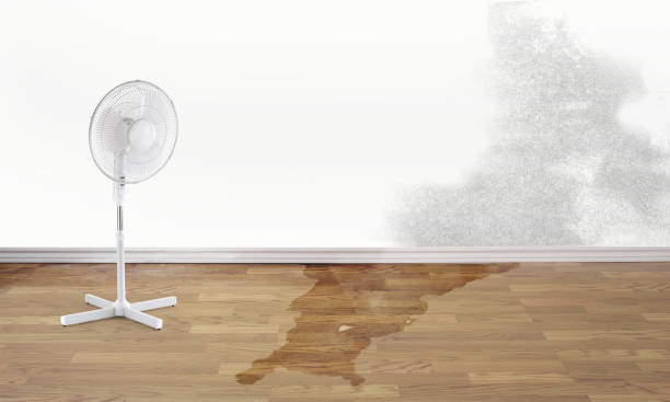 Professional Water damage restoration in Catahoula, LA