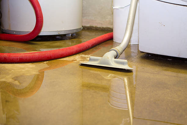 Best Flood restoration services  in Catahou, LA
