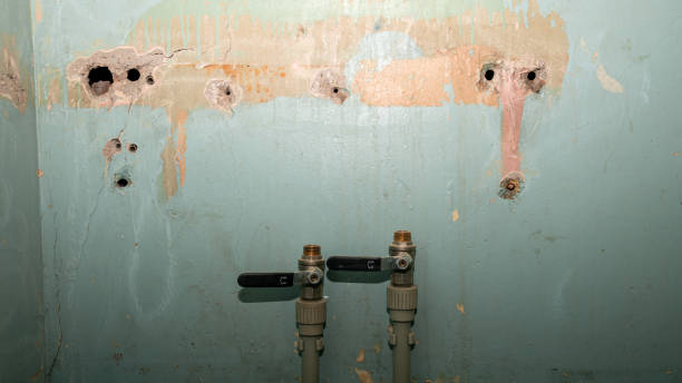 Best Residential water damage restoration  in Catahou, LA