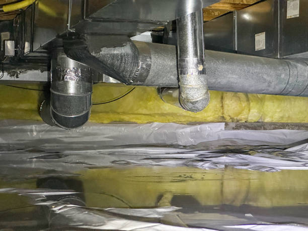 Best Flood damage cleanup  in Catahou, LA