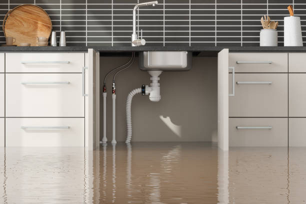 Best Water damage restoration near me  in Catahou, LA