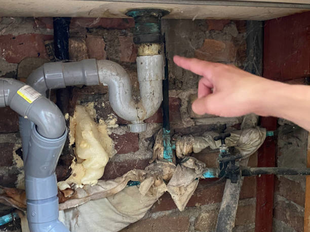 Best Basement water damage restoration  in Catahou, LA