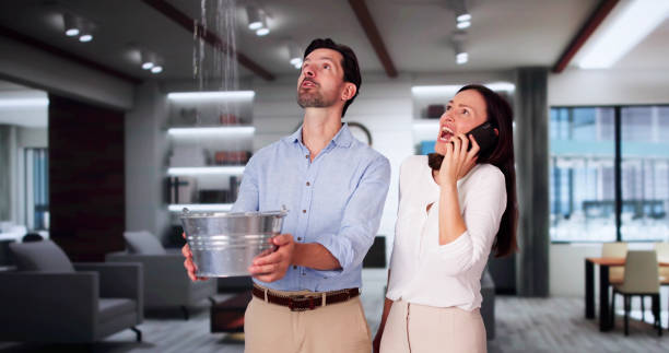 Best Local water damage restoration  in Catahou, LA
