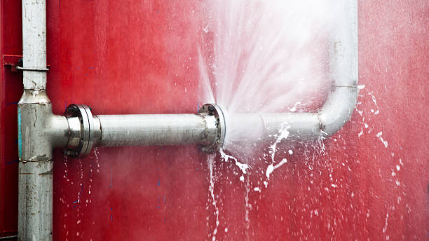 Water damage restoration insurance claims in Catahoula, LA
